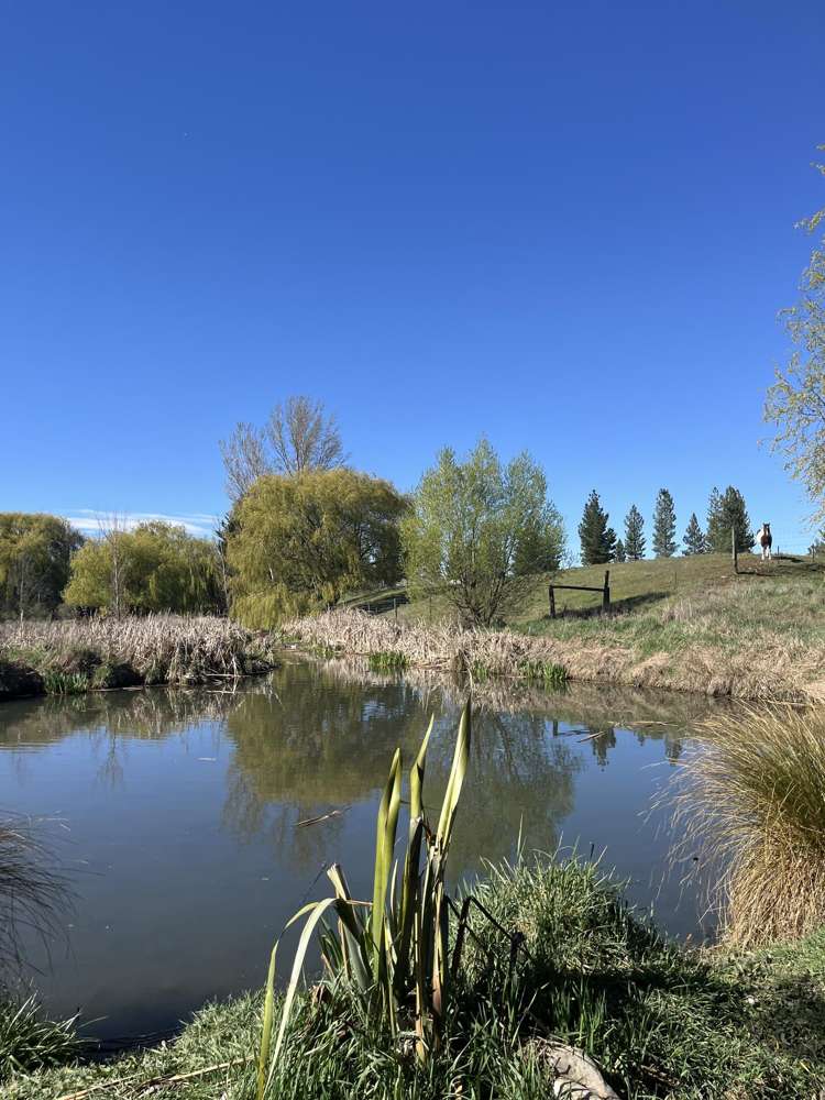 Lot Lot 2 & 3 Fisher Lane Galloway_6