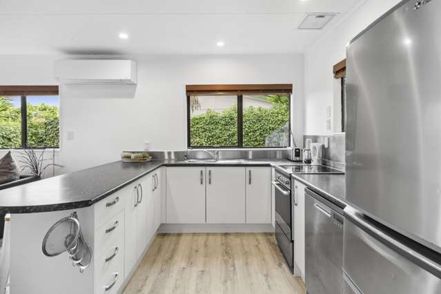 Flat 2/100 Cambria Street The Wood_1