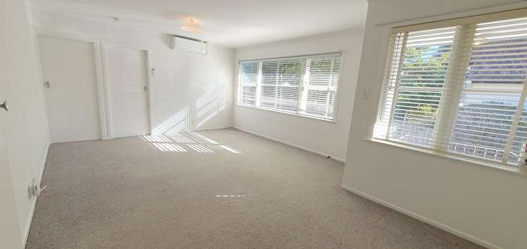 8A Fairleigh Ave Mount Albert_0