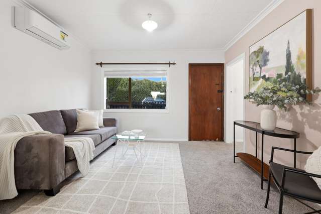8 Mount Street Wakari_4