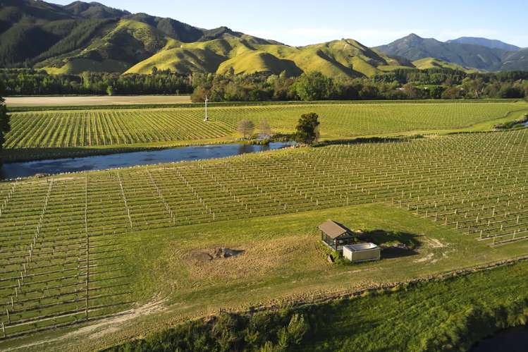 212 Selmes Road Rapaura_9