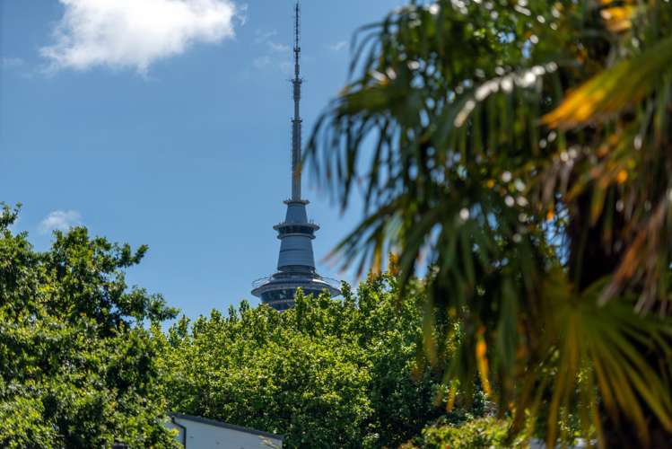 1/81 Beresford Street West Freemans Bay_13