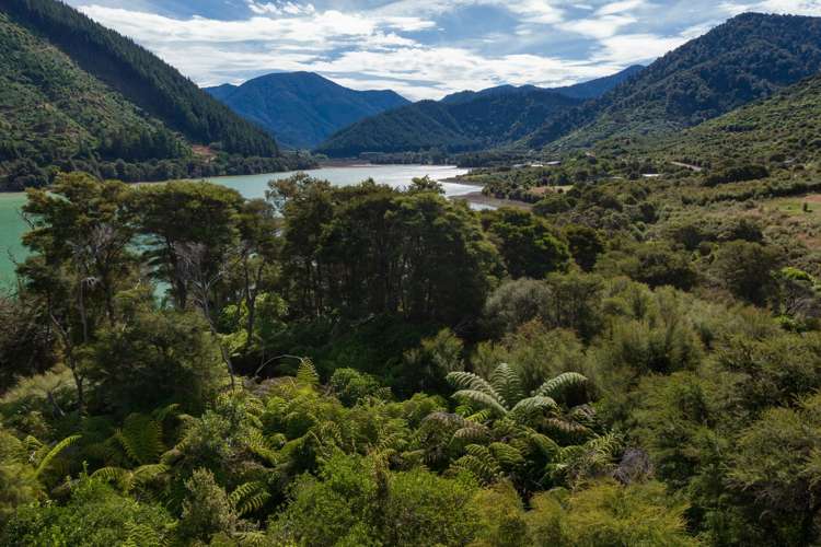 Tai Close Kaiuma Bay_7