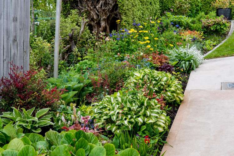 108 Ravenswood Road Saint Clair_25