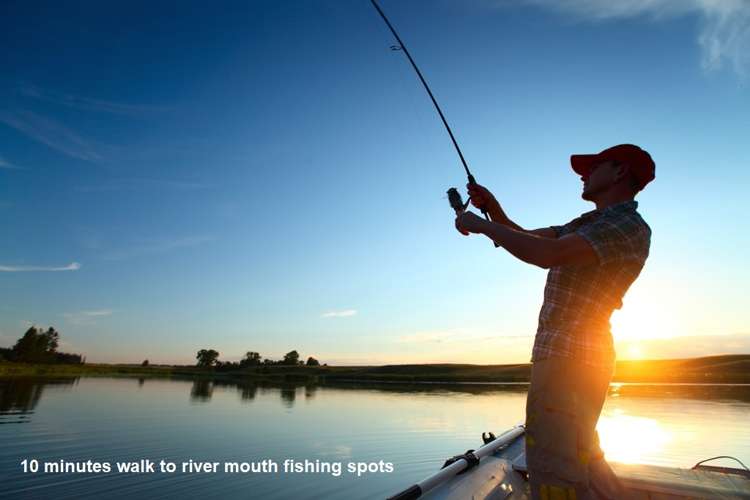 26 Cordyline Road Port Waikato_8