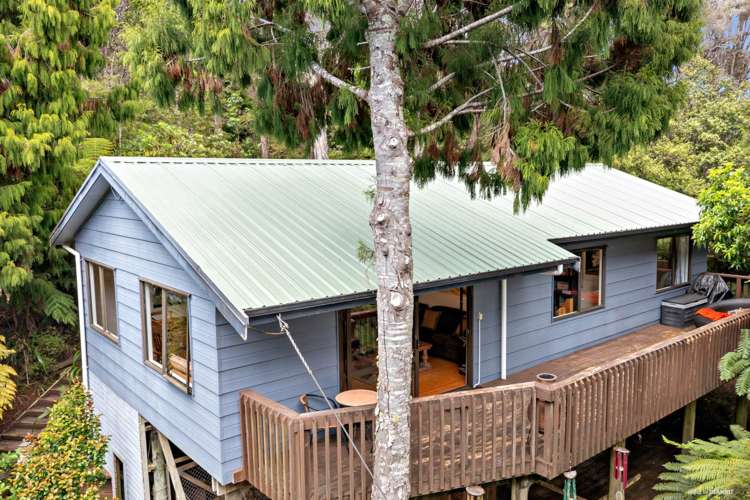 54 Opanuku Road Henderson Valley_3