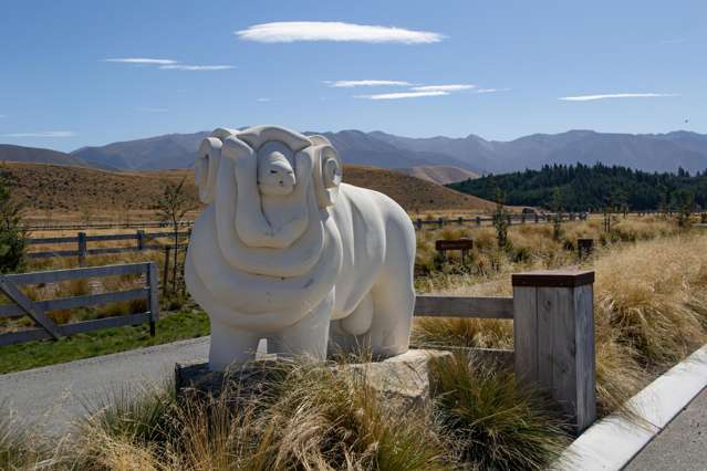 Merino Downs Twizel_3