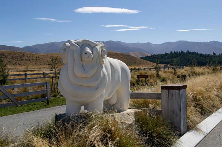 Merino Downs Twizel_3