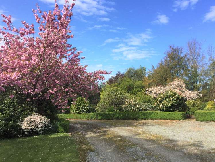 485 Rosewill Valley Road Rosewill_13