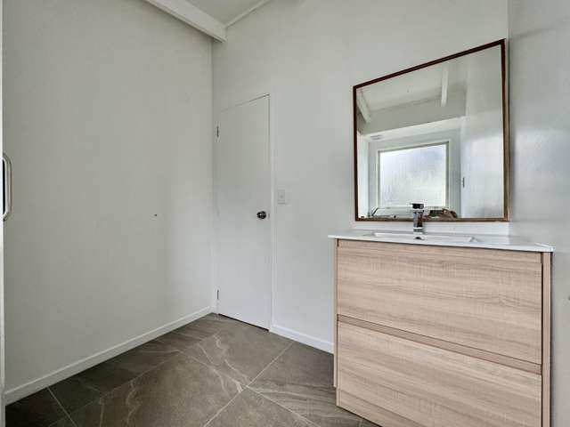 125B Seabrook Ave New Lynn_3