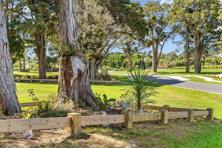 Lot 11 Furlong Lane Whangarei_5