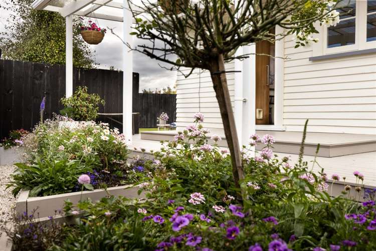 74a Redwood Street Redwoodtown_10