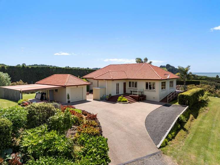 11B Stokes Road Katikati_5
