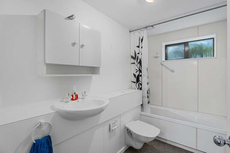 48b Douglas Street Frankton_15