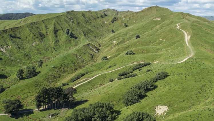 769 Pa Valley Road Eketahuna_12