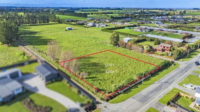 84 Manse Road Pleasant Point_2