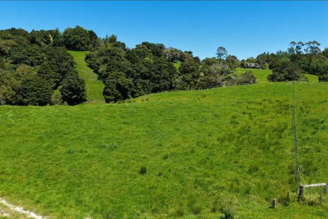 103 Mountain Road Kaiwaka_2