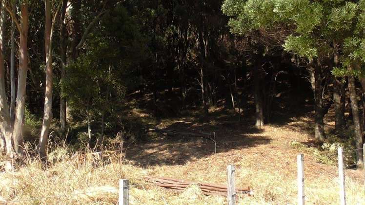 3626a Western Lake Road Ocean Beach_8