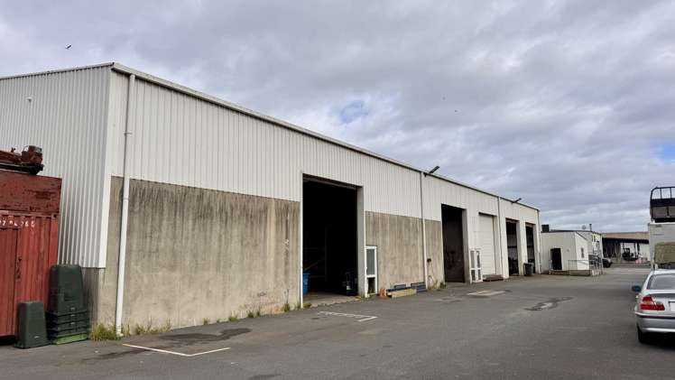 6 Macrae Avenue Mt Maunganui_3