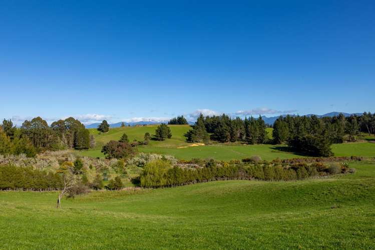 240 George Harvey Road Upper Moutere_28