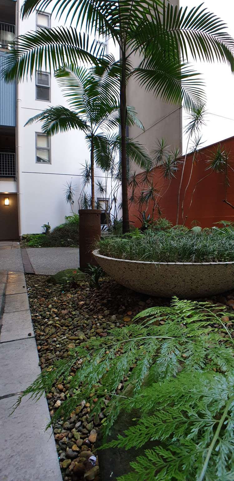 902/17 Vogel Lane Auckland Central_16