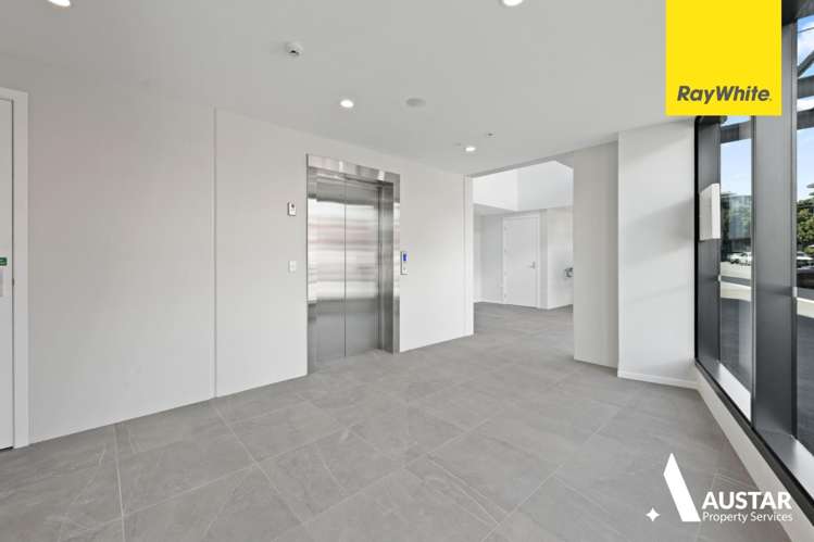 501/1 Enfield Street Mount Eden_8