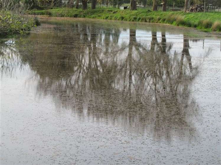 162 Oroua Road Kairanga_9