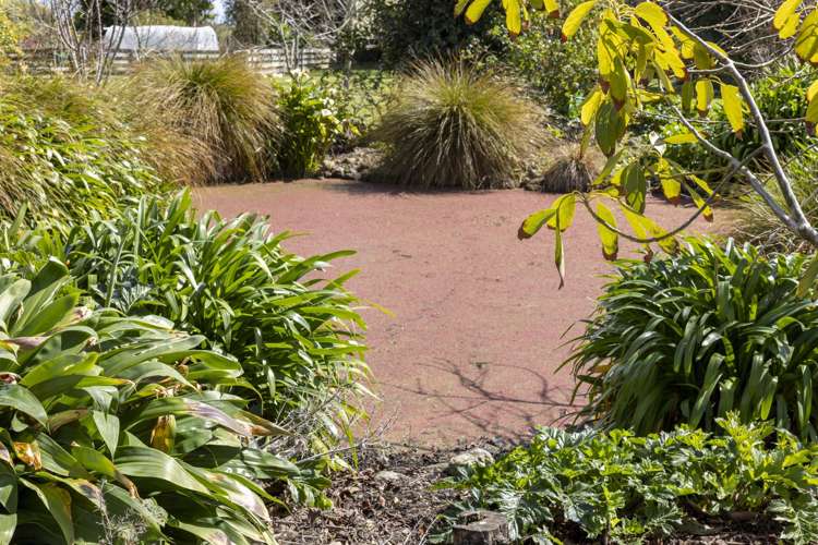 225 Waitohu Valley Road Otaki_13