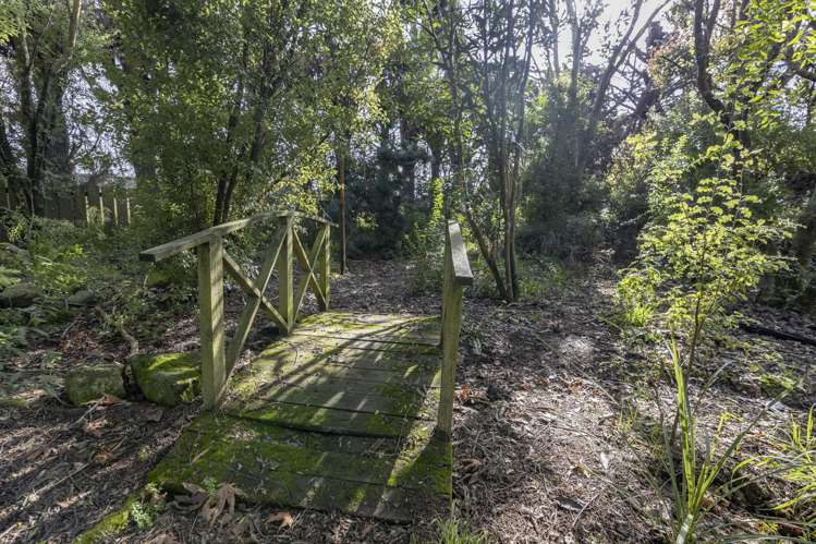 289 Rattletrack Road Springston_34