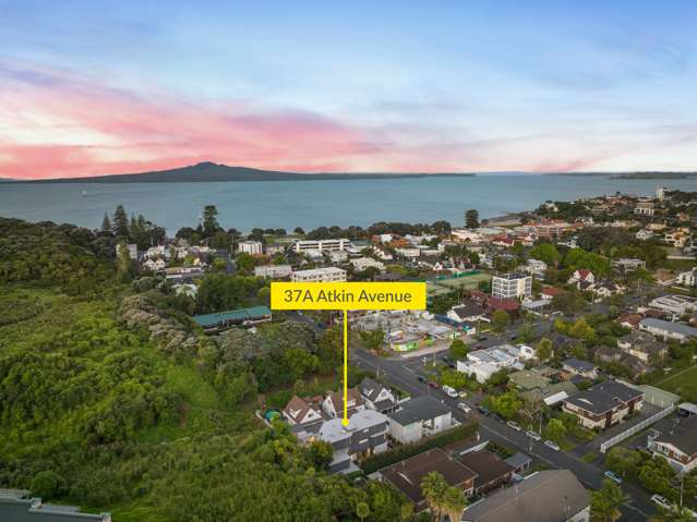 37a Atkin Avenue Mission Bay_3