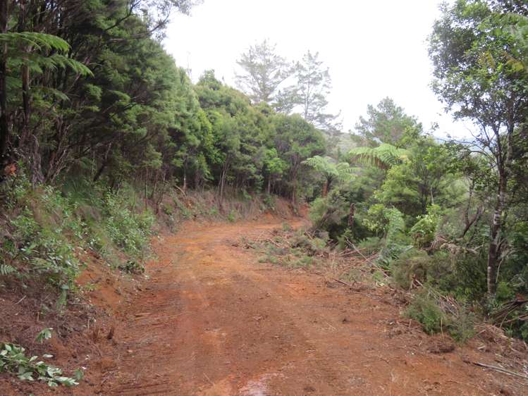 Lot 2 Goshen Valley Road Mangonui_12