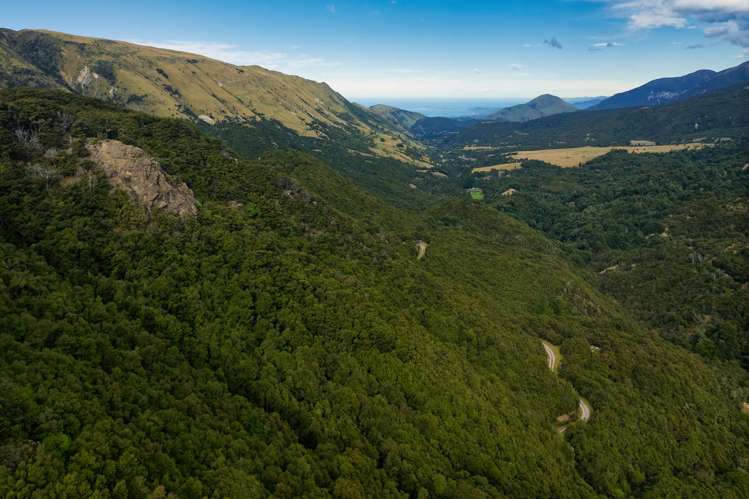 Lot 3/DP403510 Puhi Puhi Valley Road Kaikoura_14