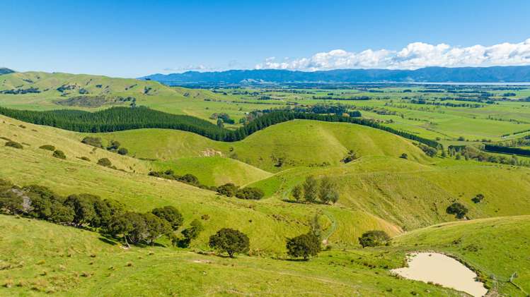 Lake Ferry Road Martinborough_11