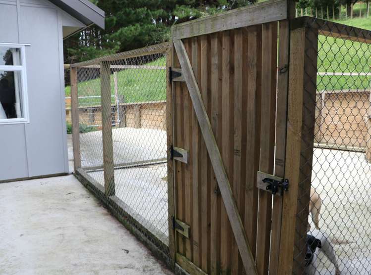 87 Bell Road Whatawhata_12