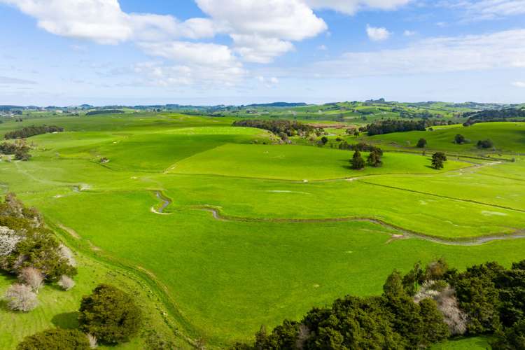 1526 Ararua Road Otamatea Surrounds_0