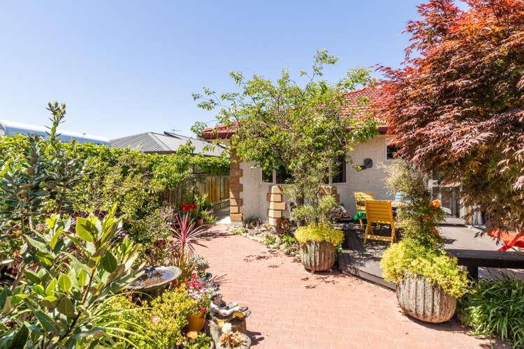 153B Auckland Road Greenmeadows_23