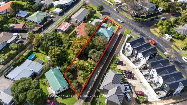 37 Mead Street Avondale_18