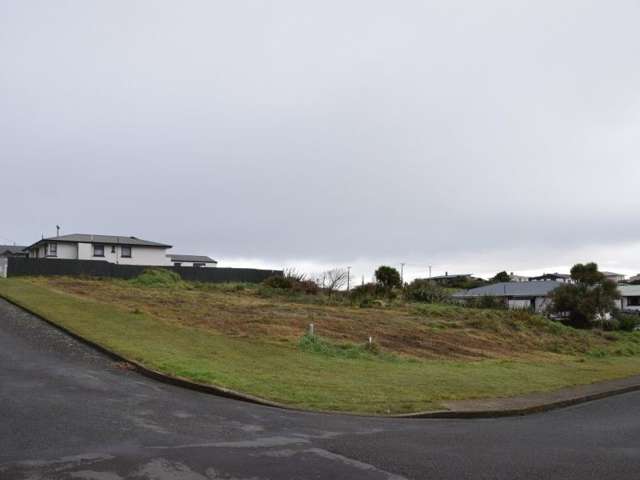 163 Lagan Street Bluff_2