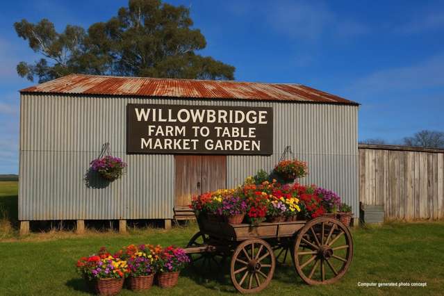 Willowbridge Road Waimate_3