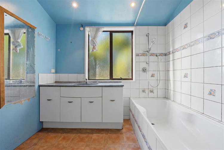 119 ash street Avondale_11