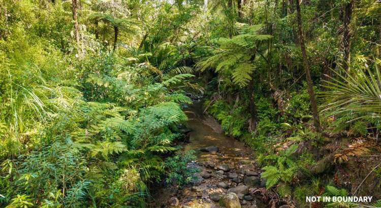 99D Carter Road Oratia_27