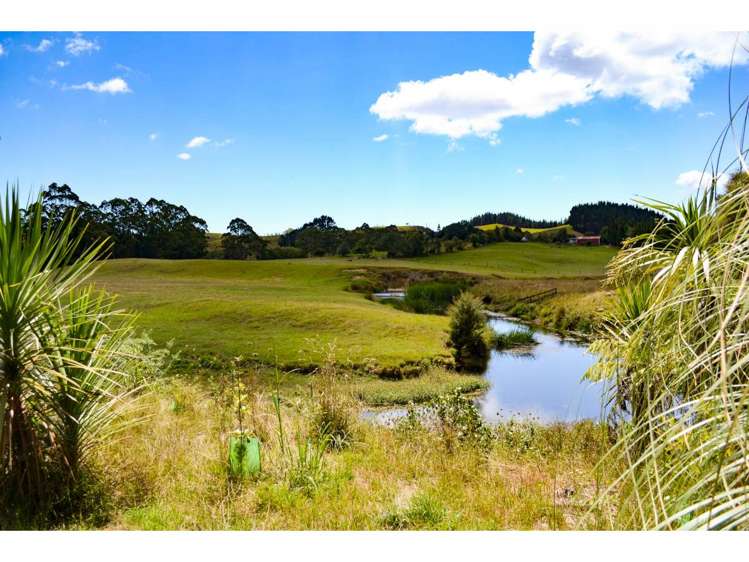109 Equestrian Drive Kerikeri_2