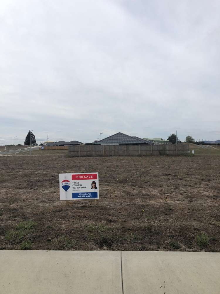 Swan Road Te Kauwhata_18