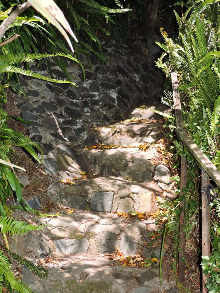 21 Creagh Street Tapu_16