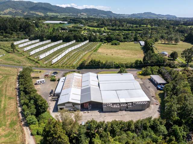 153 Rea Road Katikati_3