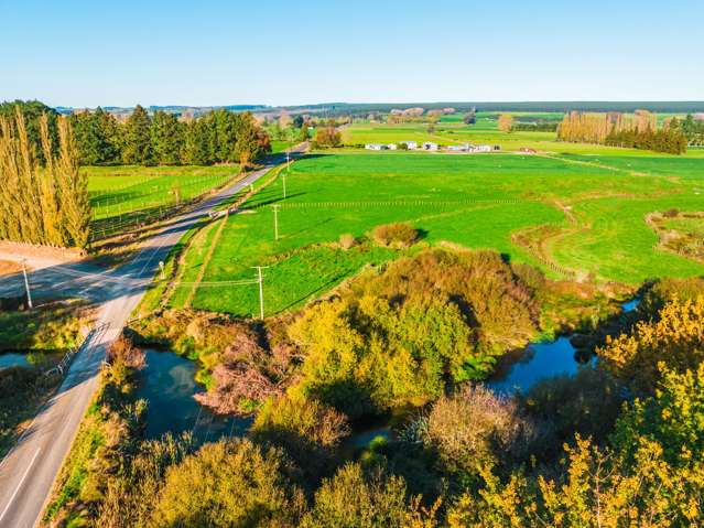 144 Earle Road Broadlands Forest_2