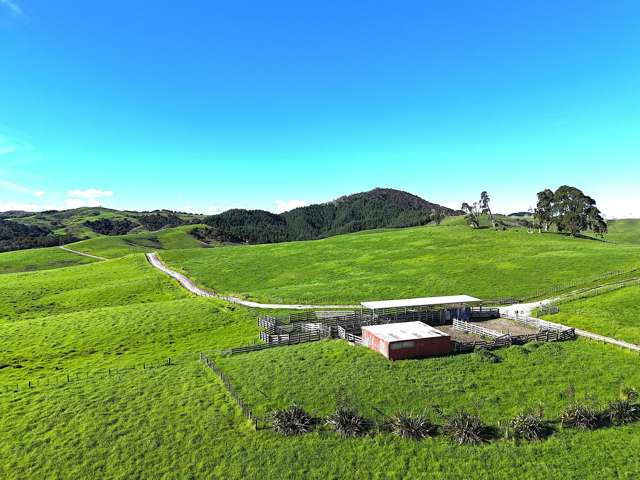 Lot 5 Greenhill Road Ruawai_1
