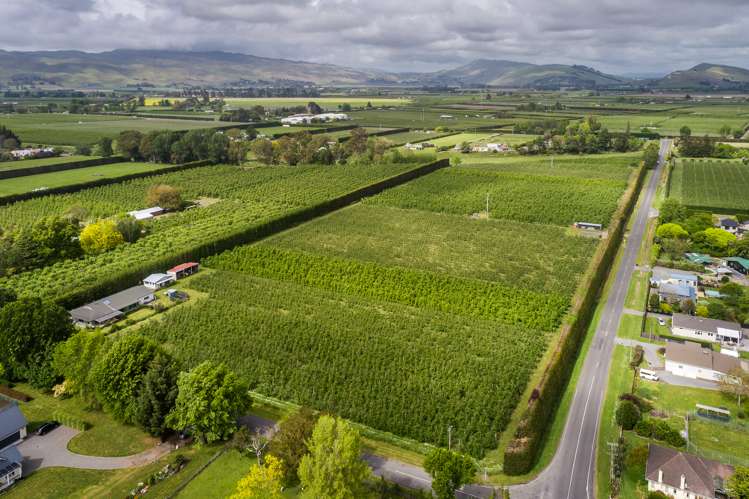 39 Algernon Road Longlands_21