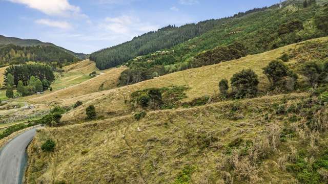 Lot 1 43 Hawaiki Lane Hira_3