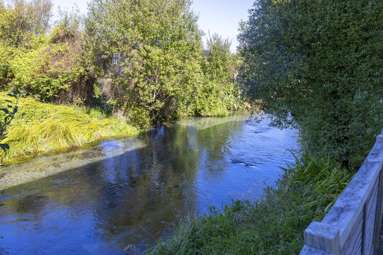 905 State Highway One_2